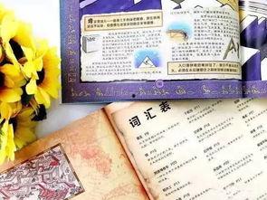 美国网红书推荐理由,揭秘畅销背后的秘密与魅力